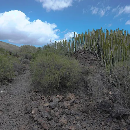 Seaside In Apartamento *