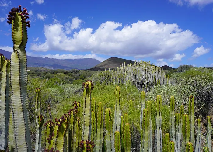 Seaside In 圭马尔港