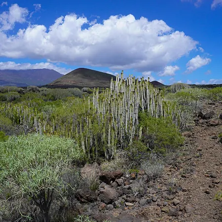 Seaside In 푸에르토 데 기마르
