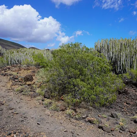 Seaside In Apartman Puertito de Güímar