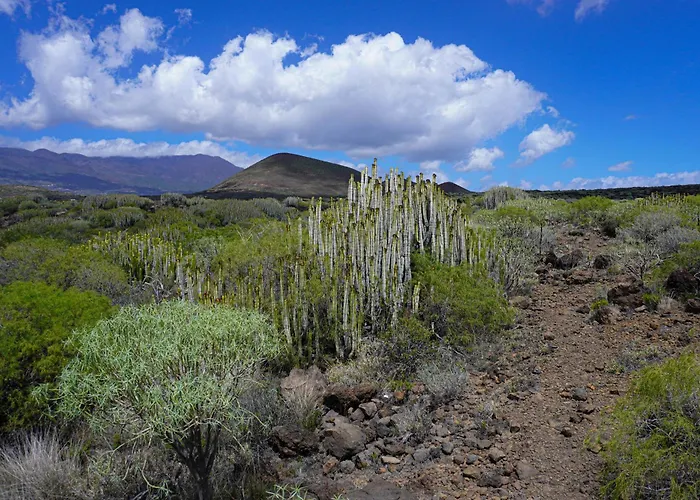 Seaside In プエルティト・デ・グイマル