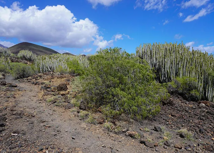 Seaside In アパート プエルティト・デ・グイマル