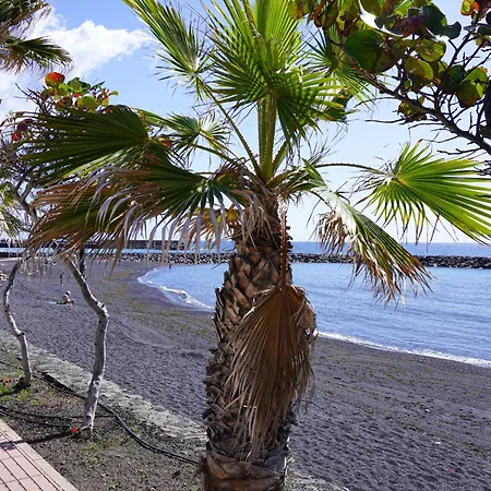 דירה Seaside In פוארטיטו דה גימאר
